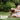 4K Security Camera vs 2K: Which One Should You Choose?