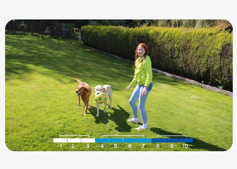 Battery vs Solar CCTV Cameras UK: Which Option Is Reliable?