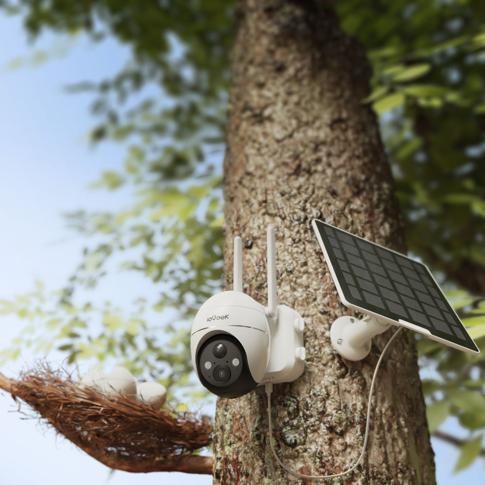 Wire-Free Camera