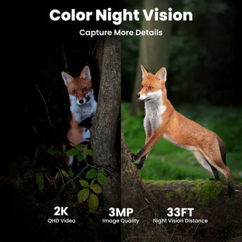 See in full color at night with ieGeek ZY-G1's advanced 2k color night vision camera.
