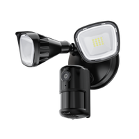ieGeek Floodlight Camera ZY-E2