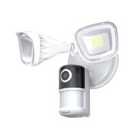 ieGeek Floodlight Camera ZY-E2