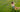 Camera Resolution Guide: Everything You Need to Know
