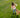 Camera Resolution Guide: Everything You Need to Know