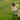 Camera resolution comparison showing 4K resolution difference
