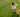 Camera resolution comparison showing 4K resolution difference