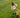 Camera resolution comparison showing 4K resolution difference