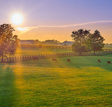 Best Farm Security Cameras: A Buying Guide