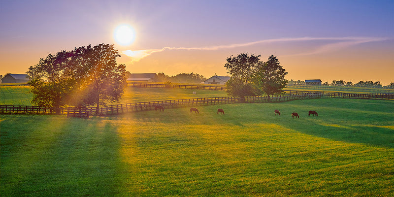Best Farm Security Cameras: A Buying Guide