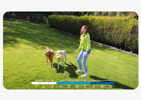 Battery vs Solar CCTV Cameras UK: Which Option Is Reliable?