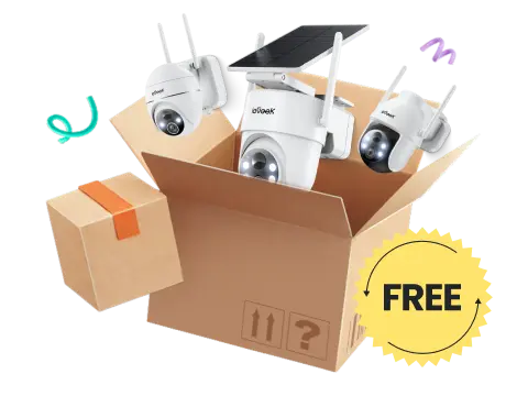 Buy 2 Get 1 Free