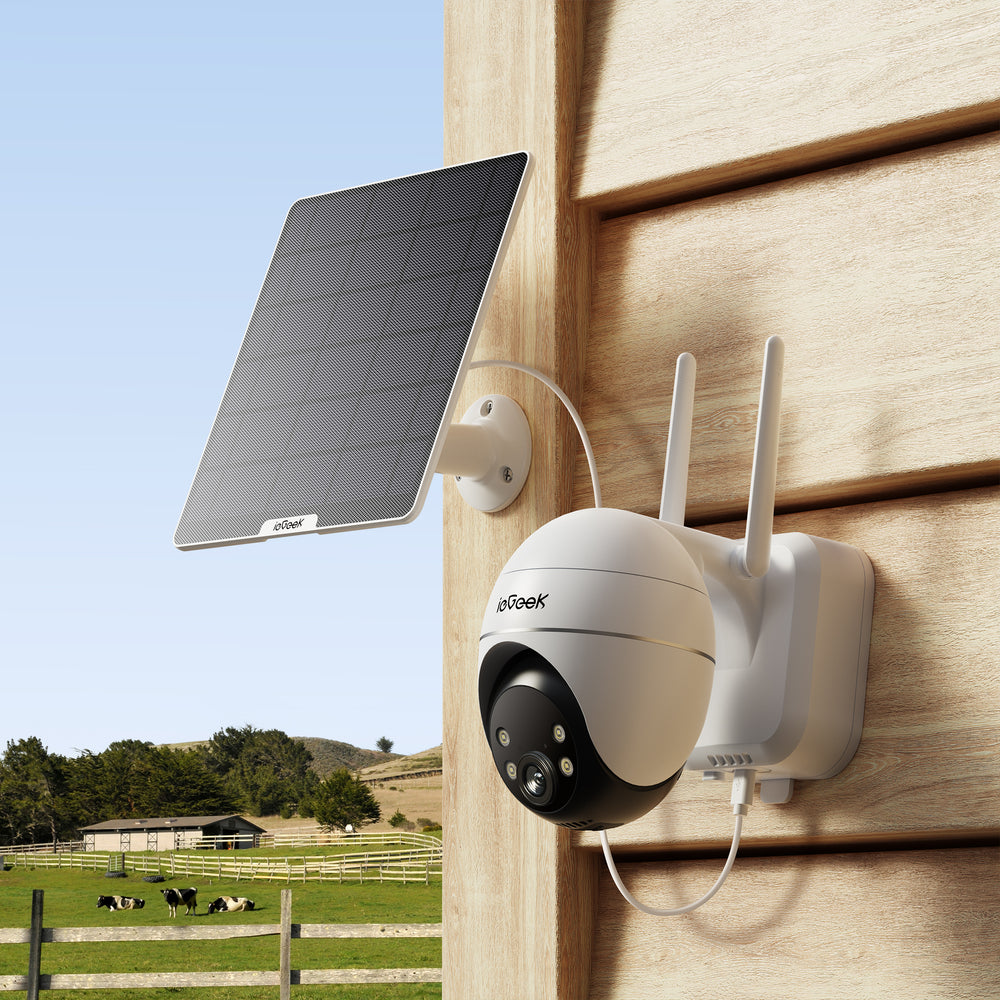 Wi-Fi Cameras