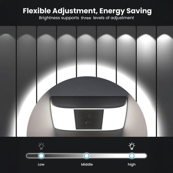 ieGeek S4 smart outdoor wall light camera with three-level adjustment