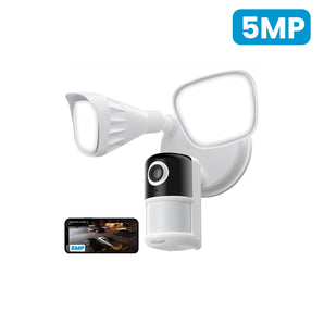 ieGeek Floodlight Camera ZY-E2