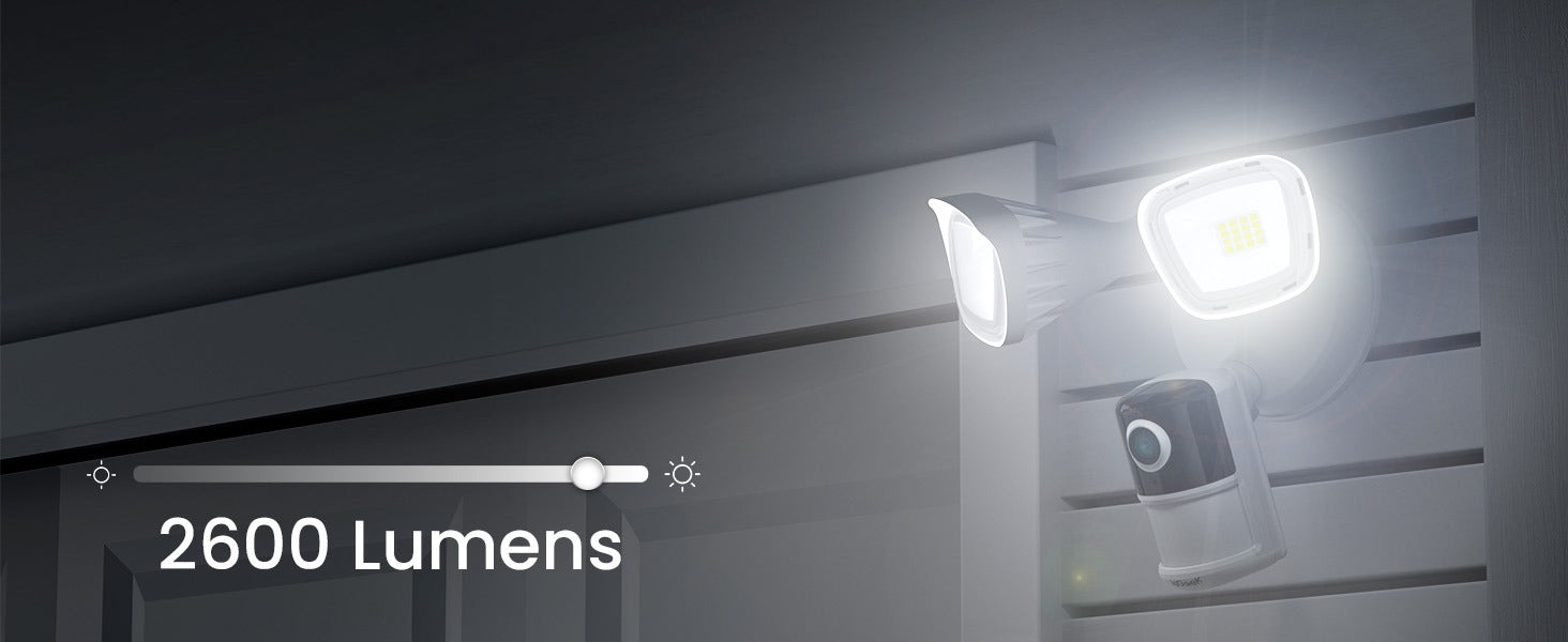 Illuminating Dark Pathway